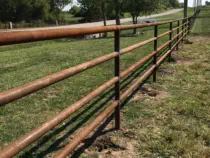 Farm Fence Loch Lloyd