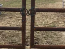 Farm Fence Gate Horse Shoe Weld in Loch Lloyd