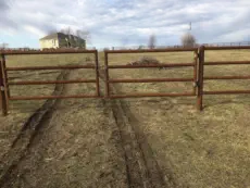 Farm Fence Gate in Loch Lloyd